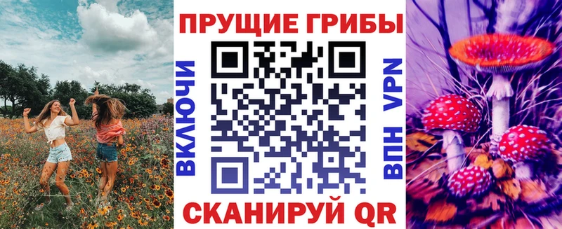 Псилоцибиновые грибы мухоморы  kraken зеркало  Приозерск 